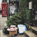 pexels-samjjohnson-1776952